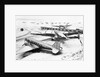 Wings Clipped by Storm by Anonymous