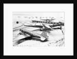 Wings Clipped by Storm by Anonymous