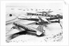 Wings Clipped by Storm by Anonymous