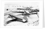 Wings Clipped by Storm by Anonymous