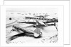 Wings Clipped by Storm by Anonymous