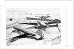 Wings Clipped by Storm by Anonymous