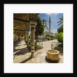 Al-Jazzar Mosque, the exterior by Anonymous