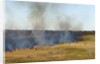 Bushfire in the Okavango Delta by Anonymous
