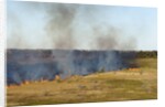Bushfire in the Okavango Delta by Anonymous