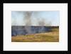 Bushfire in the Okavango Delta by Anonymous