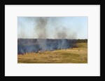 Bushfire in the Okavango Delta by Anonymous