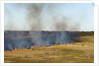 Bushfire in the Okavango Delta by Anonymous