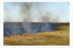 Bushfire in the Okavango Delta by Anonymous