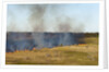 Bushfire in the Okavango Delta by Anonymous