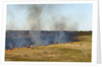 Bushfire in the Okavango Delta by Anonymous