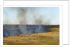 Bushfire in the Okavango Delta by Anonymous