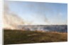 Bushfire in the Okavango Delta by Anonymous