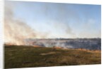 Bushfire in the Okavango Delta by Anonymous