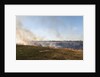 Bushfire in the Okavango Delta by Anonymous