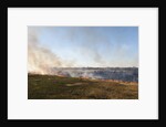 Bushfire in the Okavango Delta by Anonymous