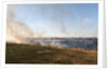 Bushfire in the Okavango Delta by Anonymous