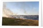 Bushfire in the Okavango Delta by Anonymous