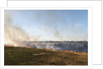 Bushfire in the Okavango Delta by Anonymous