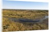 Aerial view of Okavango Delta by Anonymous