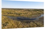 Aerial view of Okavango Delta by Anonymous