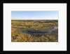 Aerial view of Okavango Delta by Anonymous