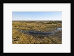 Aerial view of Okavango Delta by Anonymous