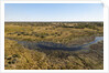 Aerial view of Okavango Delta by Anonymous