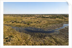 Aerial view of Okavango Delta by Anonymous