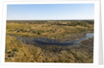 Aerial view of Okavango Delta by Anonymous