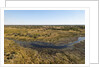 Aerial view of Okavango Delta by Anonymous