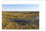 Aerial view of Okavango Delta by Anonymous