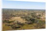 Aerial view of Okavango Delta by Anonymous