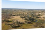 Aerial view of Okavango Delta by Anonymous