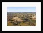 Aerial view of Okavango Delta by Anonymous