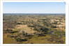 Aerial view of Okavango Delta by Anonymous