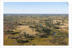Aerial view of Okavango Delta by Anonymous