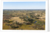 Aerial view of Okavango Delta by Anonymous