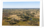 Aerial view of Okavango Delta by Anonymous
