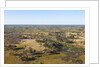 Aerial view of Okavango Delta by Anonymous