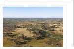 Aerial view of Okavango Delta by Anonymous