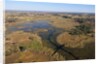 Aerial view of Okavango Delta by Anonymous