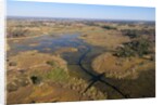 Aerial view of Okavango Delta by Anonymous