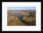 Aerial view of Okavango Delta by Anonymous