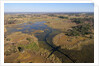 Aerial view of Okavango Delta by Anonymous