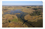 Aerial view of Okavango Delta by Anonymous
