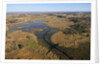 Aerial view of Okavango Delta by Anonymous