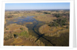 Aerial view of Okavango Delta by Anonymous