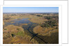 Aerial view of Okavango Delta by Anonymous