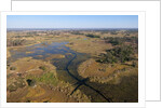 Aerial view of Okavango Delta by Anonymous